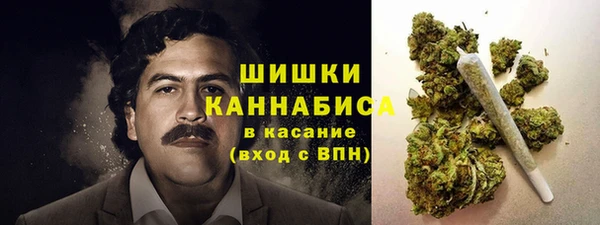 молекула духа Верхний Тагил