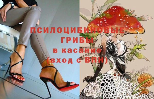 COCAINE Верея