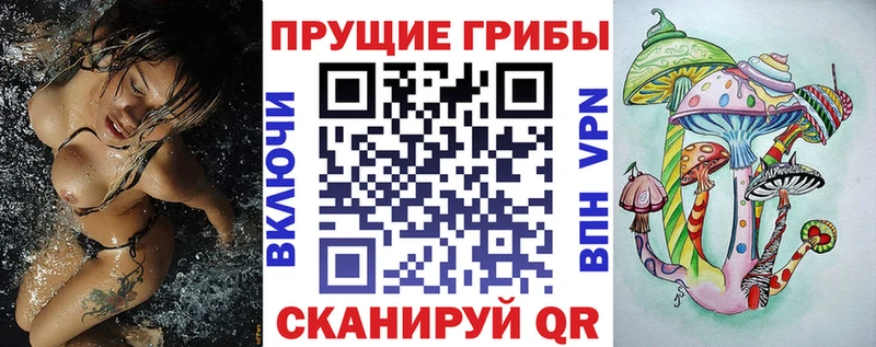 Галлюциногенные грибы MAGIC MUSHROOMS  darknet состав  Камызяк 